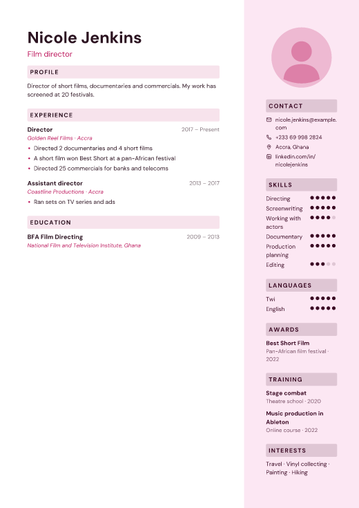 Film director resume template, Palette design