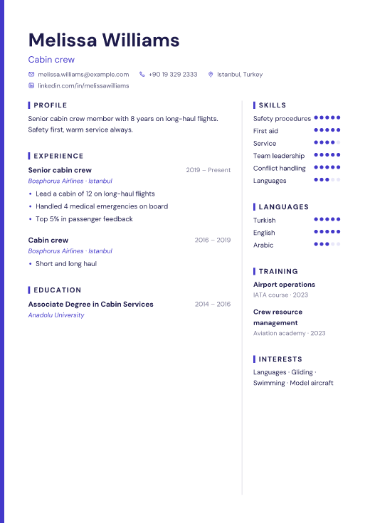 Cabin crew resume template, Pixel design