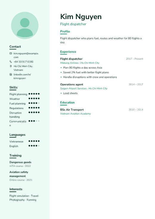 Flight dispatcher resume template, Mesh design
