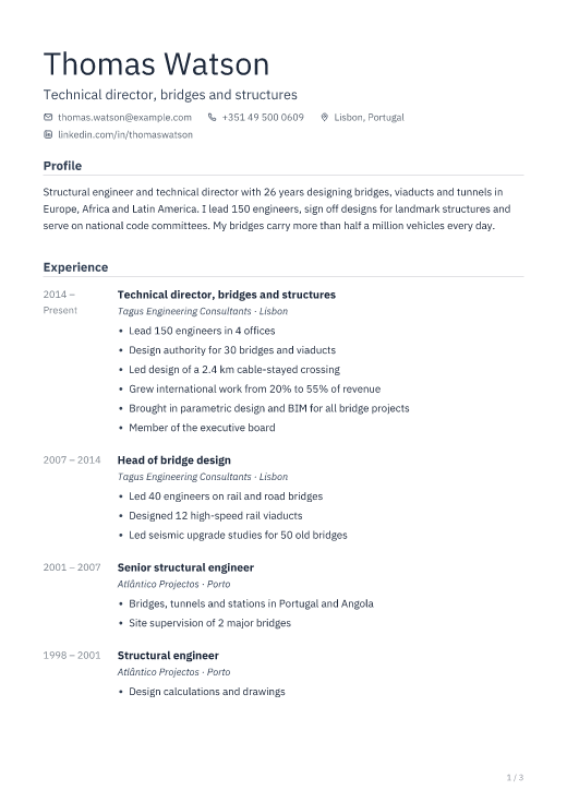 Technical director, bridges and structures resume template, Depot design, 3 pages