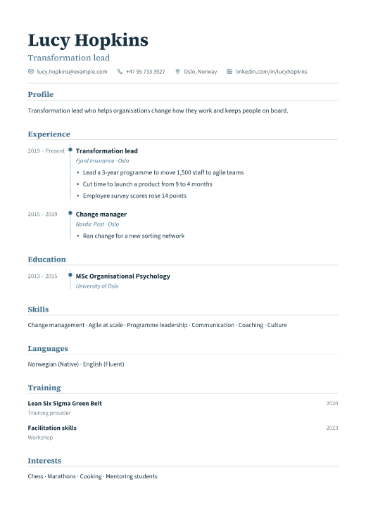 Transformation lead resume template, Registry design