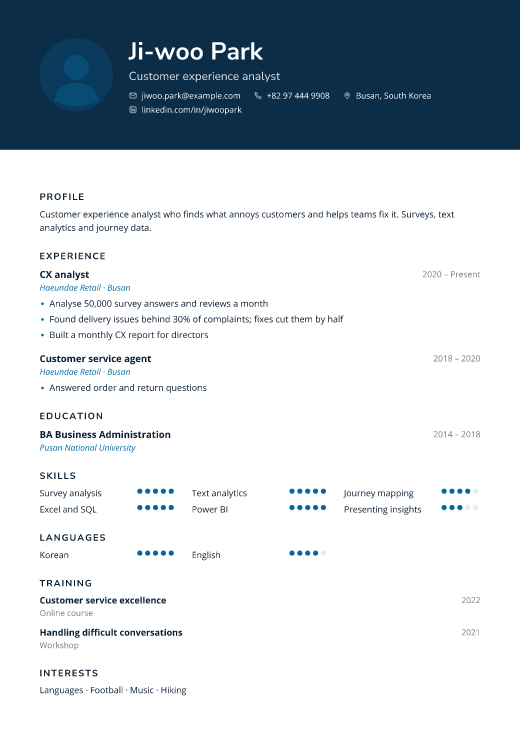 Customer experience analyst resume template, Rounds design