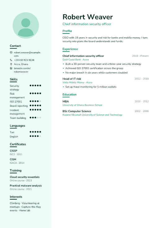 Chief information security officer resume template, Mesh design