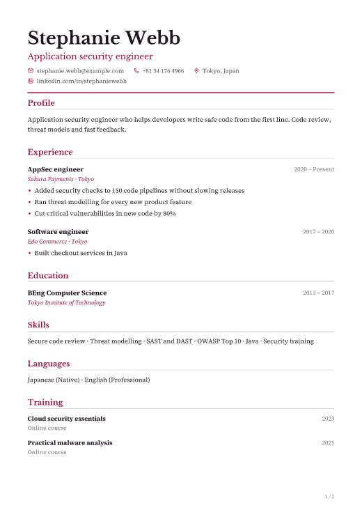 Application security engineer resume template, Nizami design