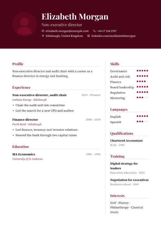 Non-executive director resume template, Shusha design