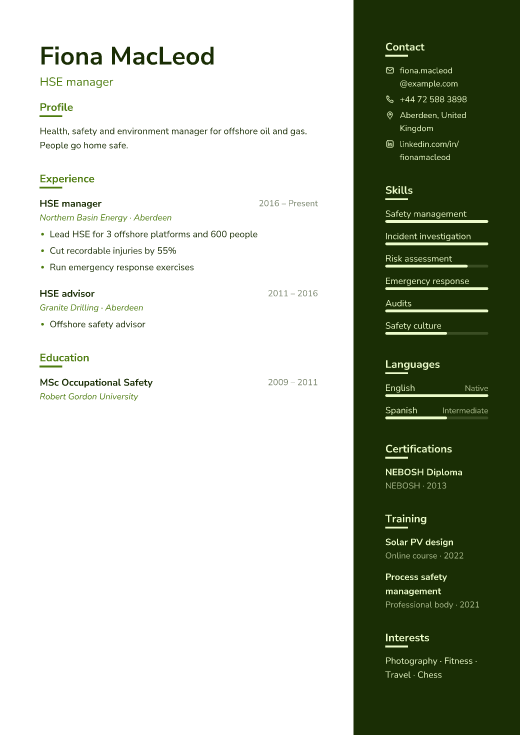 HSE manager resume template, Field design