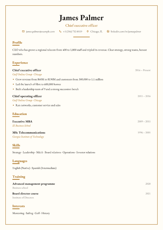 Chief executive officer resume template, Chambers design