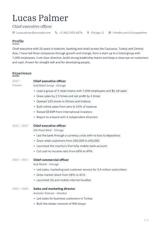 Chief executive officer resume template, Ledger design, 3 pages