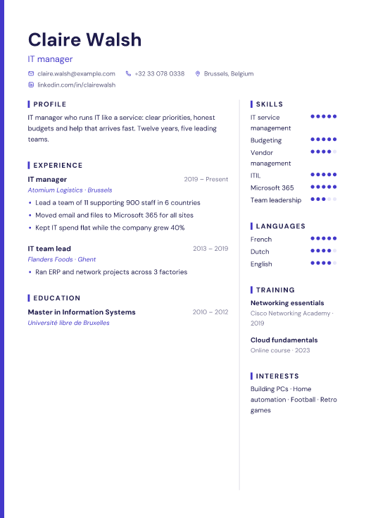 IT manager resume template, Pixel design
