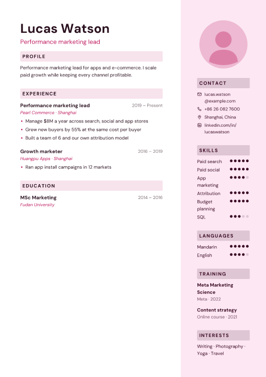 Performance marketing lead resume template, Palette design