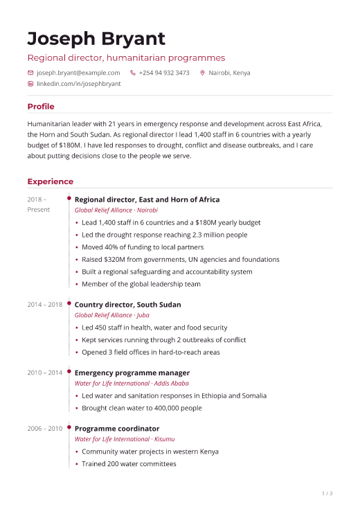 Regional director, humanitarian programmes resume template, Pulse design, 3 pages