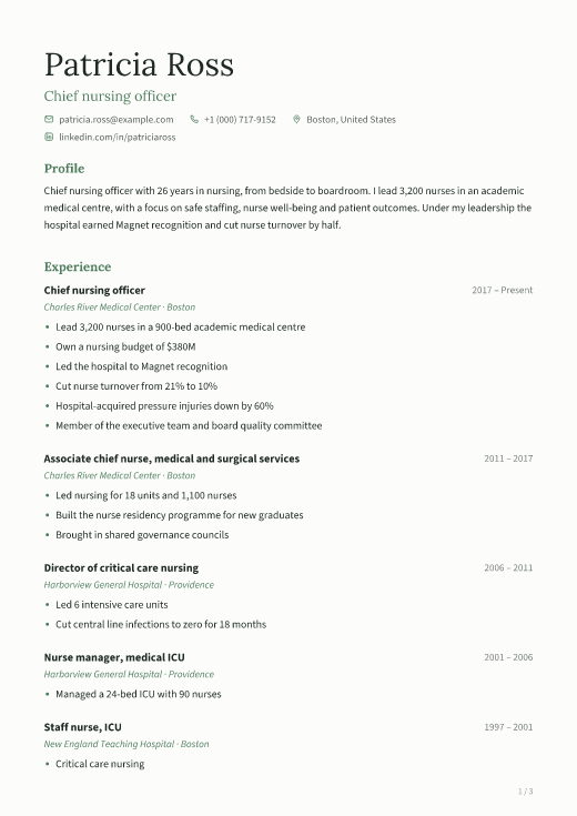 Chief nursing officer resume template, Calm design, 3 pages