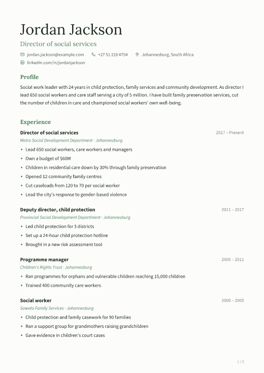 Director of social services resume template, Calm design, 3 pages