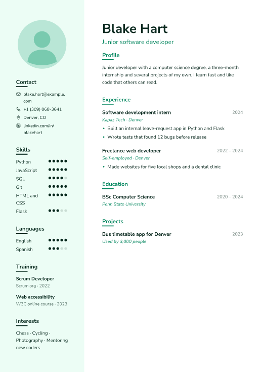 Junior software developer resume template, Mesh design