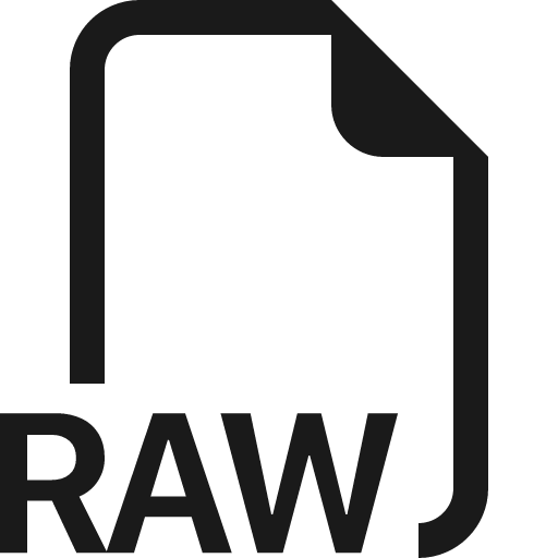 Filetype raw icon, solid style, from Bootstrap Icons