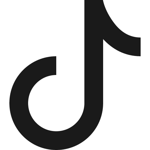 Tiktok icon, solid style, from Bootstrap Icons