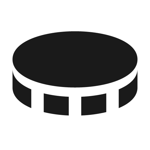 Coin icon, solid style, from BoxIcons v2 Solid