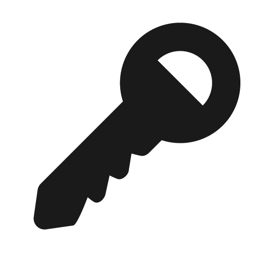 Key icon, solid style, from BoxIcons v2 Solid