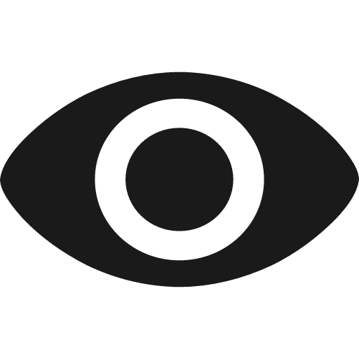 Eye open icon, solid style, from Elusive Icons