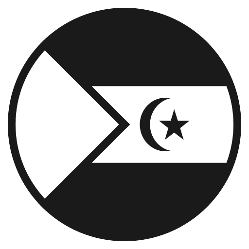 Flag for western sahara icon, solid style, from Emoji One (Monotone)