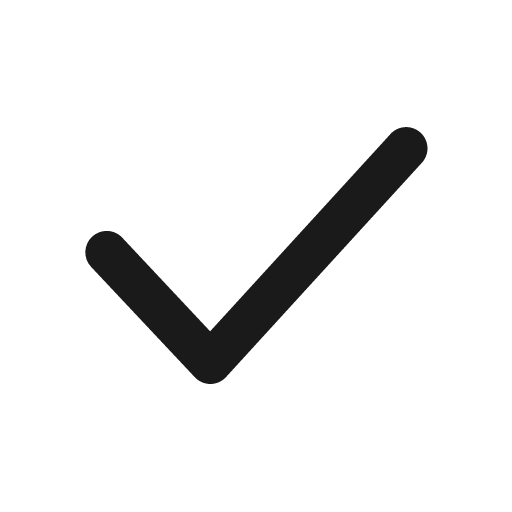 Checkmark fill icon, filled style, from Eva Icons