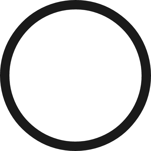 Record 2 icon, solid style, from Fluent UI MDL2