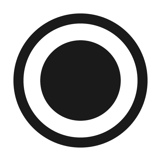 Record 24 regular icon, solid style, from Fluent UI System Icons