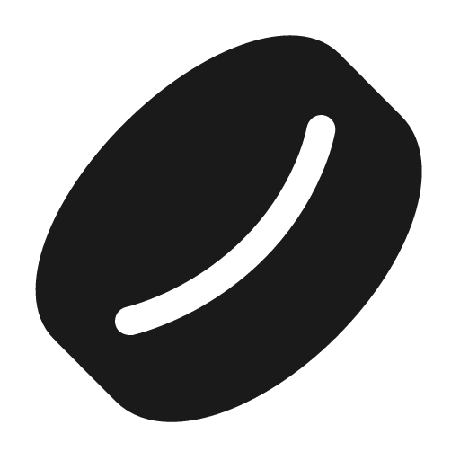 Sport hockey 24 filled icon, filled style, from Fluent UI System Icons