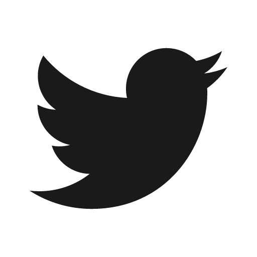 Social twitter icon, solid style, from Foundation
