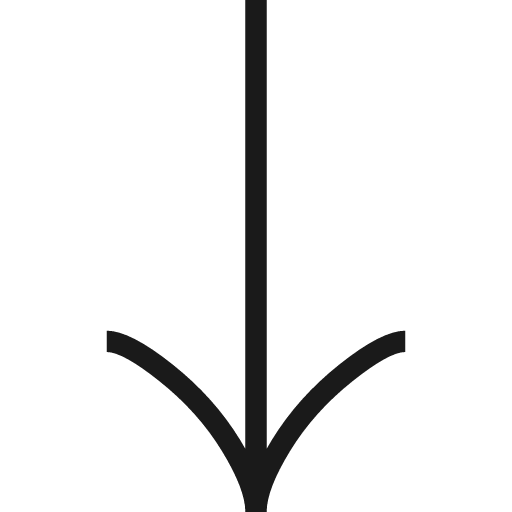 Down arrow icon, line style, from Guidance