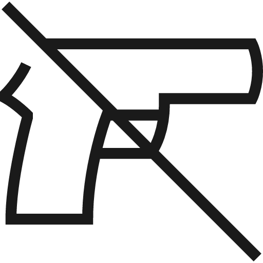 No firearm weapon icon, line style, from Guidance
