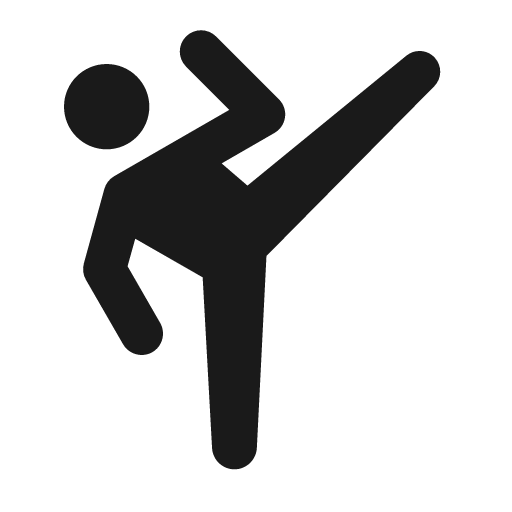 Round sports martial arts icon, solid style, from Google Material Icons