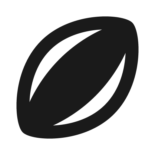 Sharp sports rugby icon, solid style, from Google Material Icons