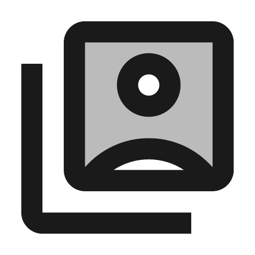 Twotone switch account icon, solid style, from Google Material Icons