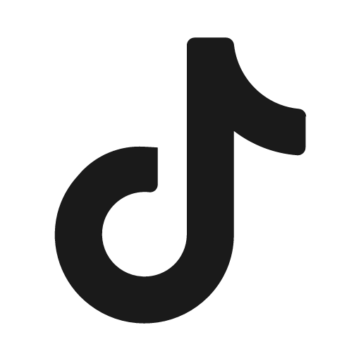 Tiktok icon, solid style, from Mage Icons