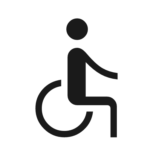 Accessible icon, solid style, from Material Symbols Light