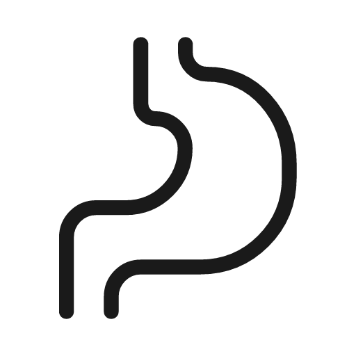 Gastroenterology outline rounded icon, rounded style, from Material Symbols Light
