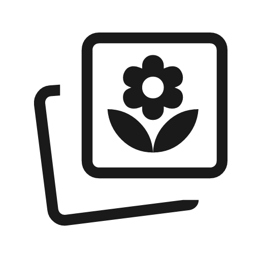 Photo prints outline icon, outline style, from Material Symbols Light