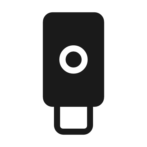 Security key icon, solid style, from Material Symbols Light