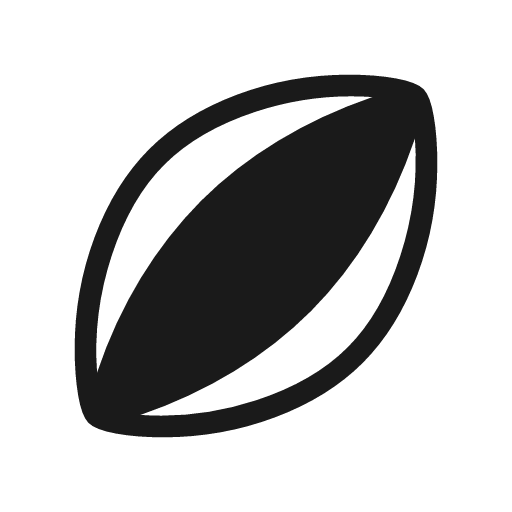 Sports rugby icon, solid style, from Material Symbols Light