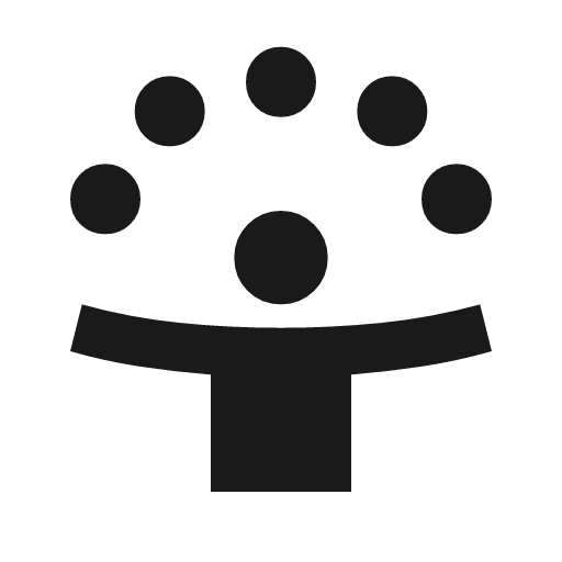 Person celebrate icon, solid style, from Material Symbols