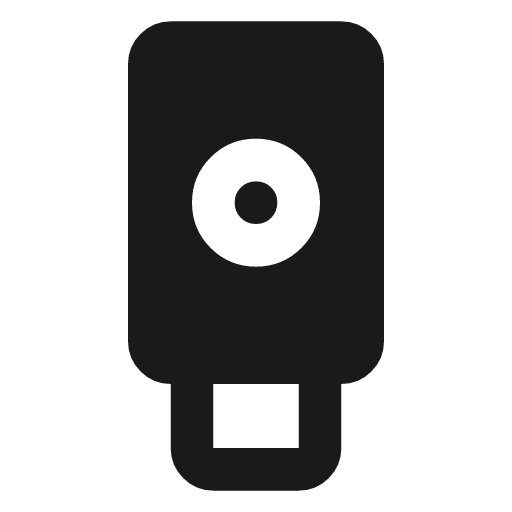 Security key icon, solid style, from Material Symbols