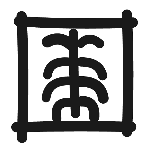 X ray icon, line style, from Matita