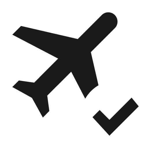 Airplane check icon, solid style, from Material Design Icons