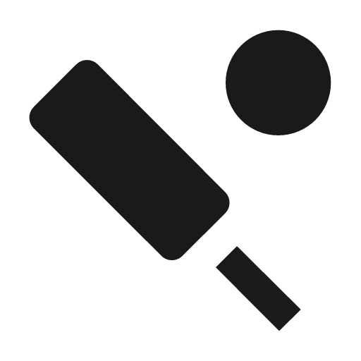 Cricket icon, solid style, from Material Design Icons