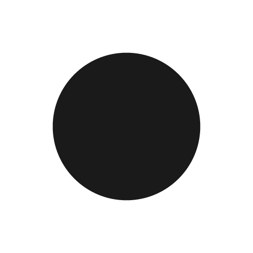 Record icon, solid style, from Material Design Icons
