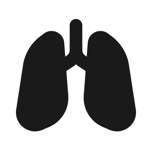 Lungs fill icon, filled style, from MingCute Icon