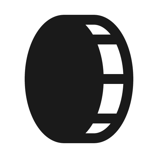 Coin vertical fill icon, filled style, from Phosphor