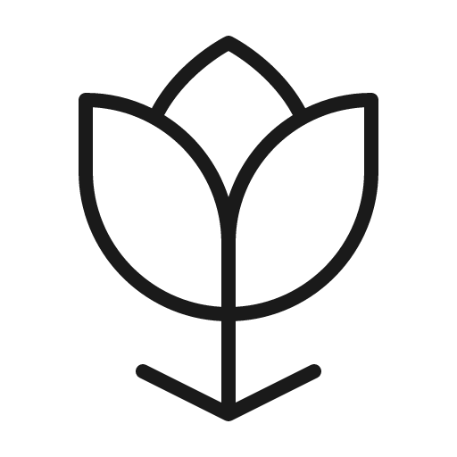 Flower tulip thin icon, thin style, from Phosphor