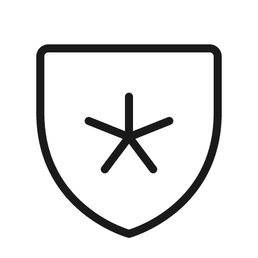 Shield star thin icon, thin style, from Phosphor